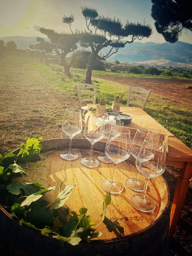 Food and wine tour